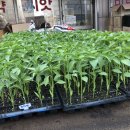 계양농약사 이미지