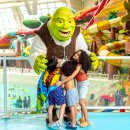 (주) 더드림유통 이미지