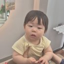 살롱드580