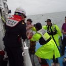 완도7호 이미지