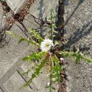 창원대로 이미지