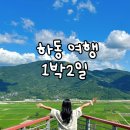 정감약국 | 하동여행 1박2일 일정(1) / 하동책방, 고매감 산채비빔밥, 악양주조장, 스타웨이하동, 배파이