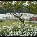 나절로미술관 이미지