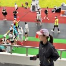 백제체육관 | 2025 공주백제마라톤 하프 우중런 후기