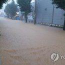 [국도19] 충주시 구룡리