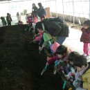 동문드라마어린이집 이미지