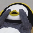 포토샵(GTQ 1급) 이미지