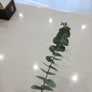 서유헤어 이미지