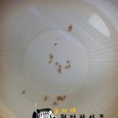 비.알 이미지