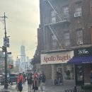 CREAM BAGEL | 뉴욕 베이글 투어 - 아폴로(apollo bagels) / 에싸(ess-a-bagel) / 유토피아(utopia bagels)