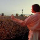 오아시스 이미지