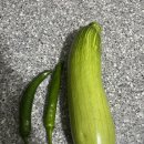 가평계곡호박펜션 이미지