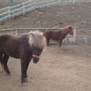 새싹목장 이미지