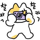 파리바게뜨대구신서점