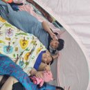 동양무술관 합기도 이미지