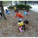 동변공원 이미지