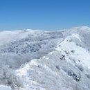[2010년 2월 21일/일요일] 소백산 비로봉~천동*눈꽃능선*설경산행 (비로봉-천동 5시간 코스 변경)- 최종공지- 이미지
