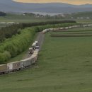 국제비디오 이미지