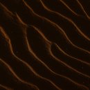 오늘 하루 운동 체력단련실 이미지