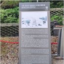 도솔천 | 고창 선운사 도솔천 내원궁과 동불암지 마애여래좌상