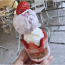 베리코스 이미지