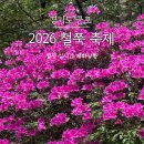 경기합창제 | 군포 철쭉축제 일정 군포 가볼만한곳