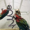 가든조류원 이미지