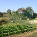 길농장2 이미지