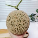 도포원예정보화마을 이미지