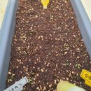 송암농장 이미지