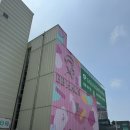 [일산 아이와 카페] 비비하우스 풍선 ‘날다’ 체험 내돈내산