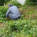 큰밭농원 이미지