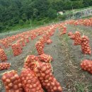 큰밭농원 이미지