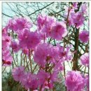 벌교원동 이미지