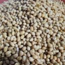 근우농장 이미지