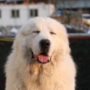 럭키농장 이미지