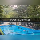 호두나무캠핑장 | [천안물놀이] 오래된 광덕 물놀이 명소 호두나무캠핑장 평상 수영장 내돈내산 솔직후기