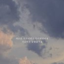 윤애견미용 이미지