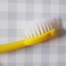 치카치카 이미지