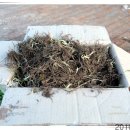 희망농장 이미지