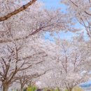 비슬로63길 이미지