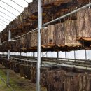 이정표농장 이미지