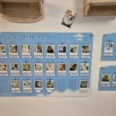 명품고양이카페 이미지