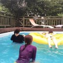 숲속의 하얀별 이미지