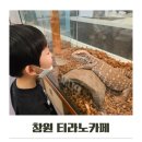 사바나동물병원 | 창원 파충류카페 티라노 아이와 가볼만한곳 추천