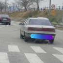 934001 이미지