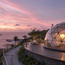 숲속트리하우스 이미지