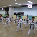 우리나라 태권도 이미지