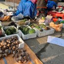 삼척번개시장 이미지