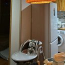 애월이우다 이미지